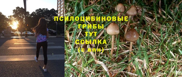 прущая мука Абдулино