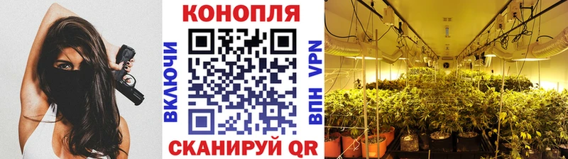 Бошки Шишки VHQ  дарк нет формула  Янаул 